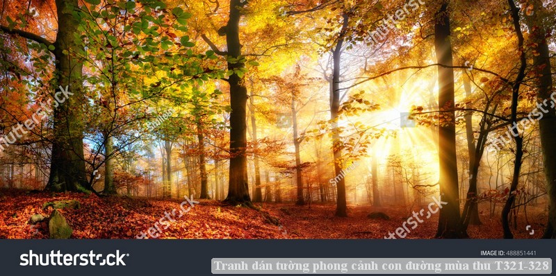 Tranh dán tường phong cảnh con đường mùa thu T321-328